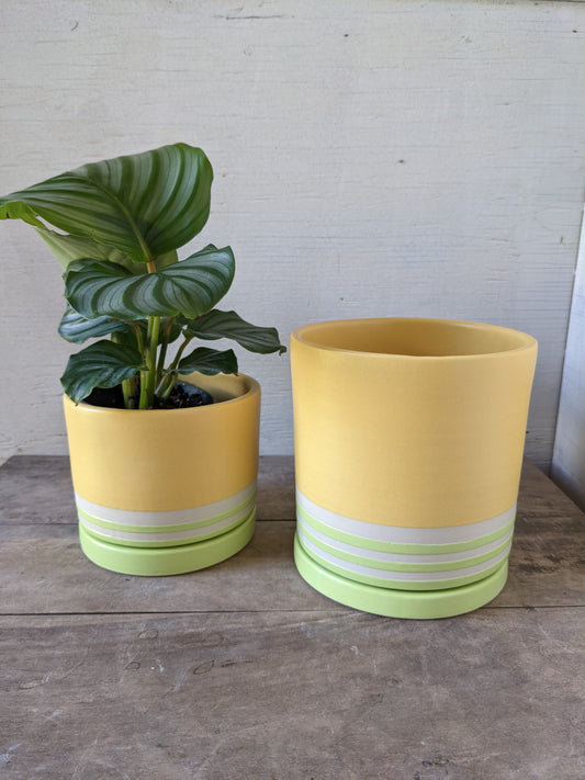 Striped Planter