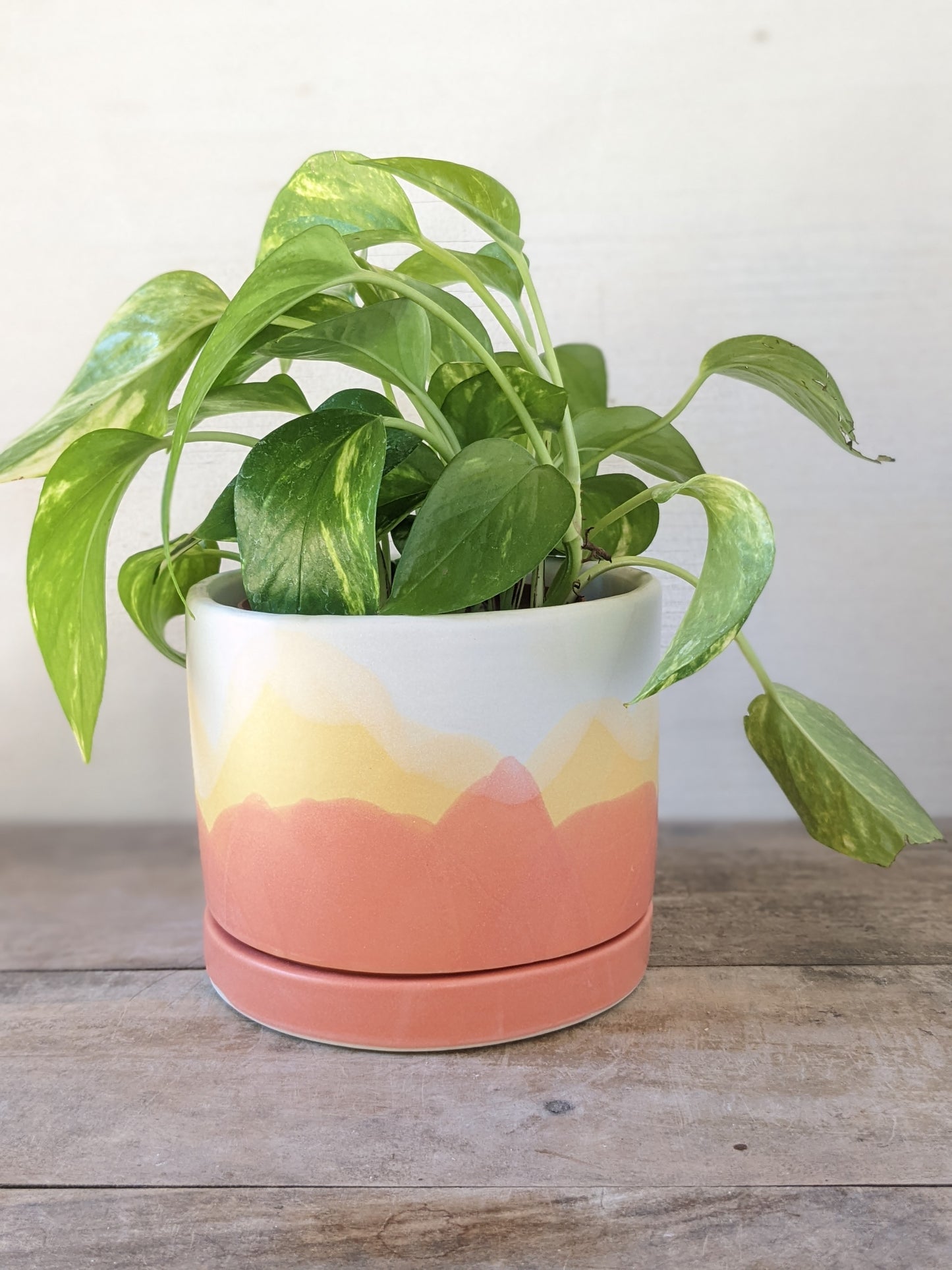 Mountain Planter