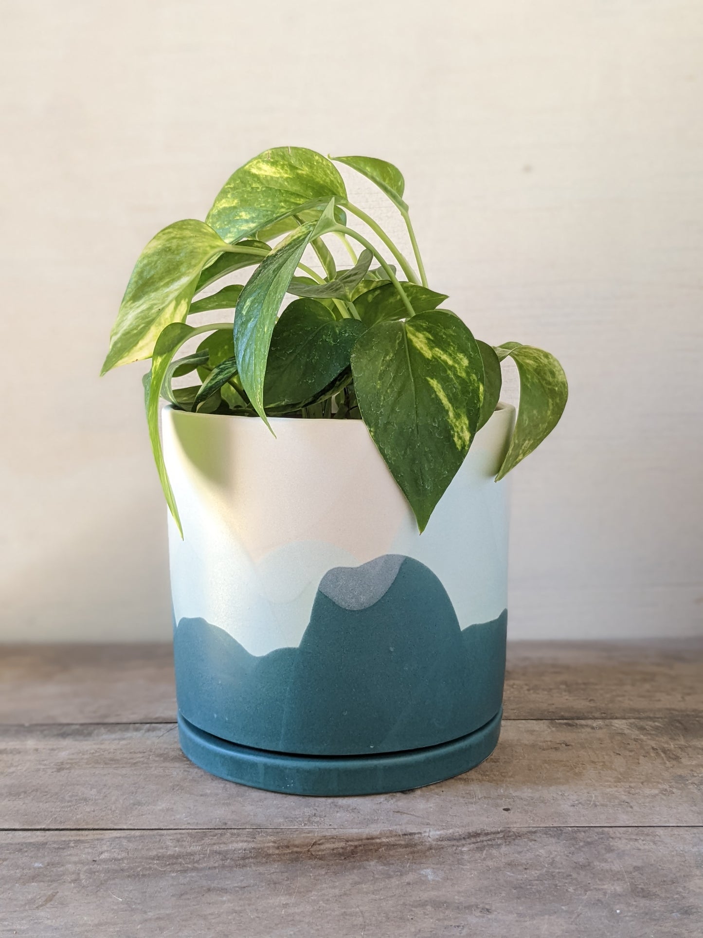 Mountain Planter